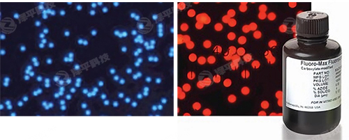 Thermo Fluoro-Max熒光微粒代理商北京澤平